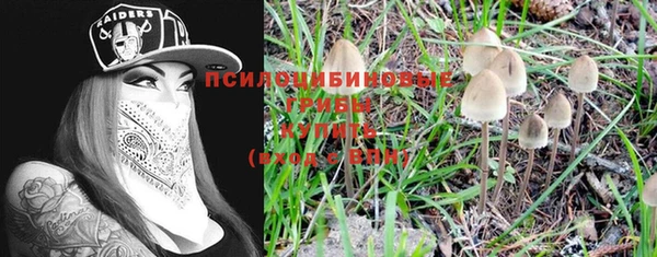 герыч Абинск